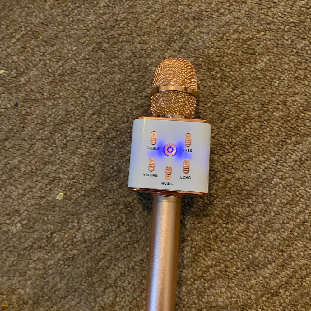 My karaoke microphone